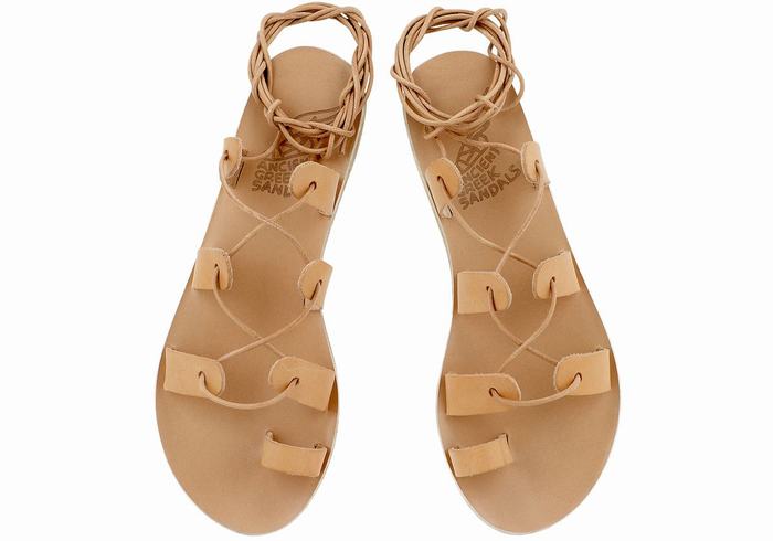 Sandales De Gladiateur Ancient Greek Sandals Alcyone Leather   | HMG-7642509